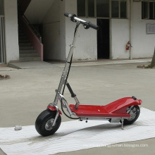 CE Approval 2 Wheel Kids Electric Scooter (DR24300)